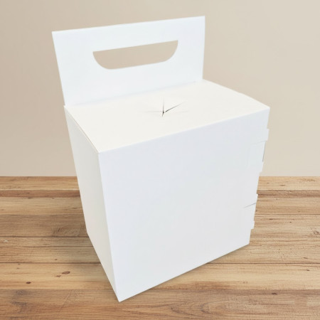 Krabica na infekčný odpad 20x20x13 cm - bielo hnedá 3VL E