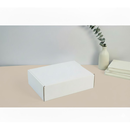 Čajová krabica 3VL E 21x12x6,5 bielo – biela